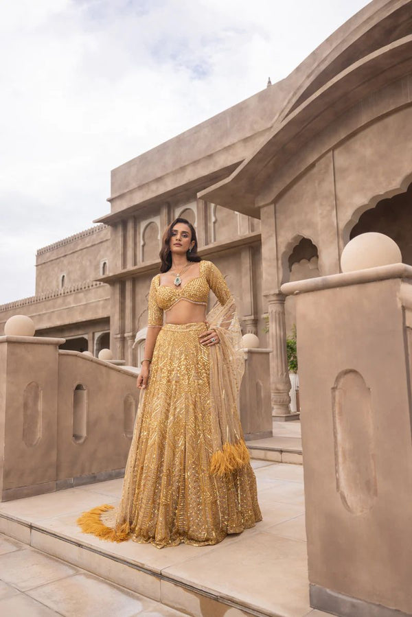 Beautiful Latest Designer Lehenga