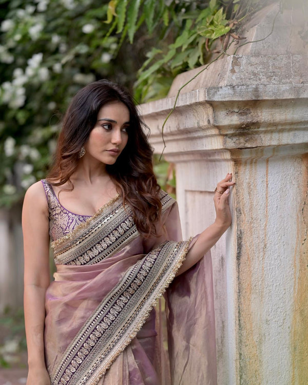 premium designer saree