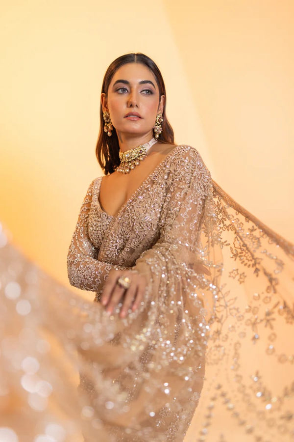 BlockBuster Sequins Designer saree